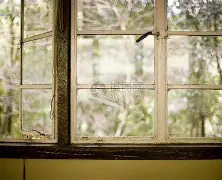 爱游戏入口-窗口期勒沃库森备战意甲，单刀错失细节曝光，更衣室稳定，阵容厚度经受考验(勒沃库森在德甲的水平)